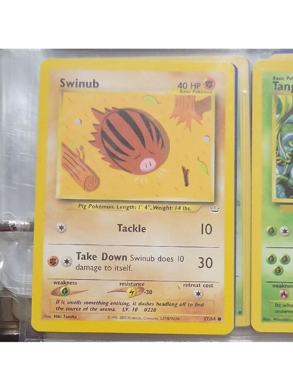 Pokémon Card Swinub